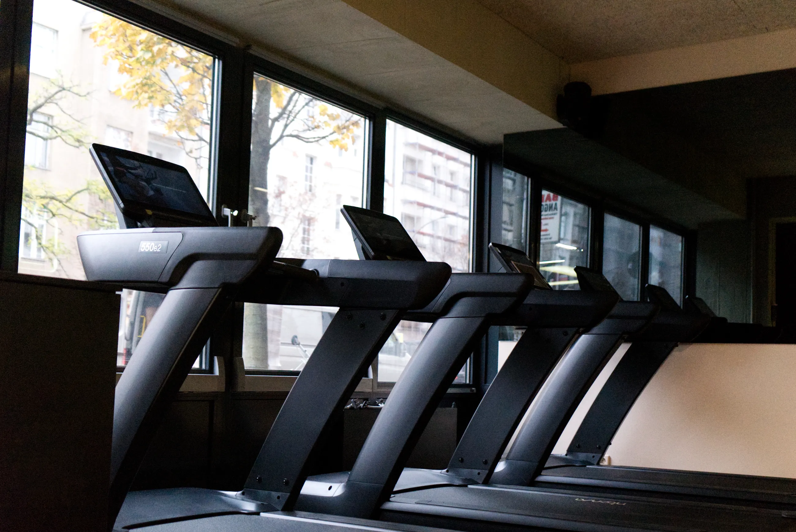 Cardio-Zone mit Crosstrainern am Fenster im LOFTS Studio