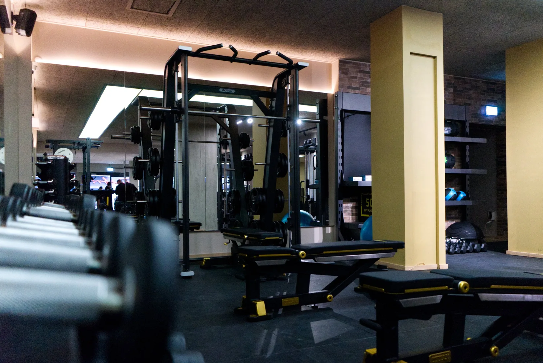 Functional-Rig mit Klimmzugstange im LOFTS Studio