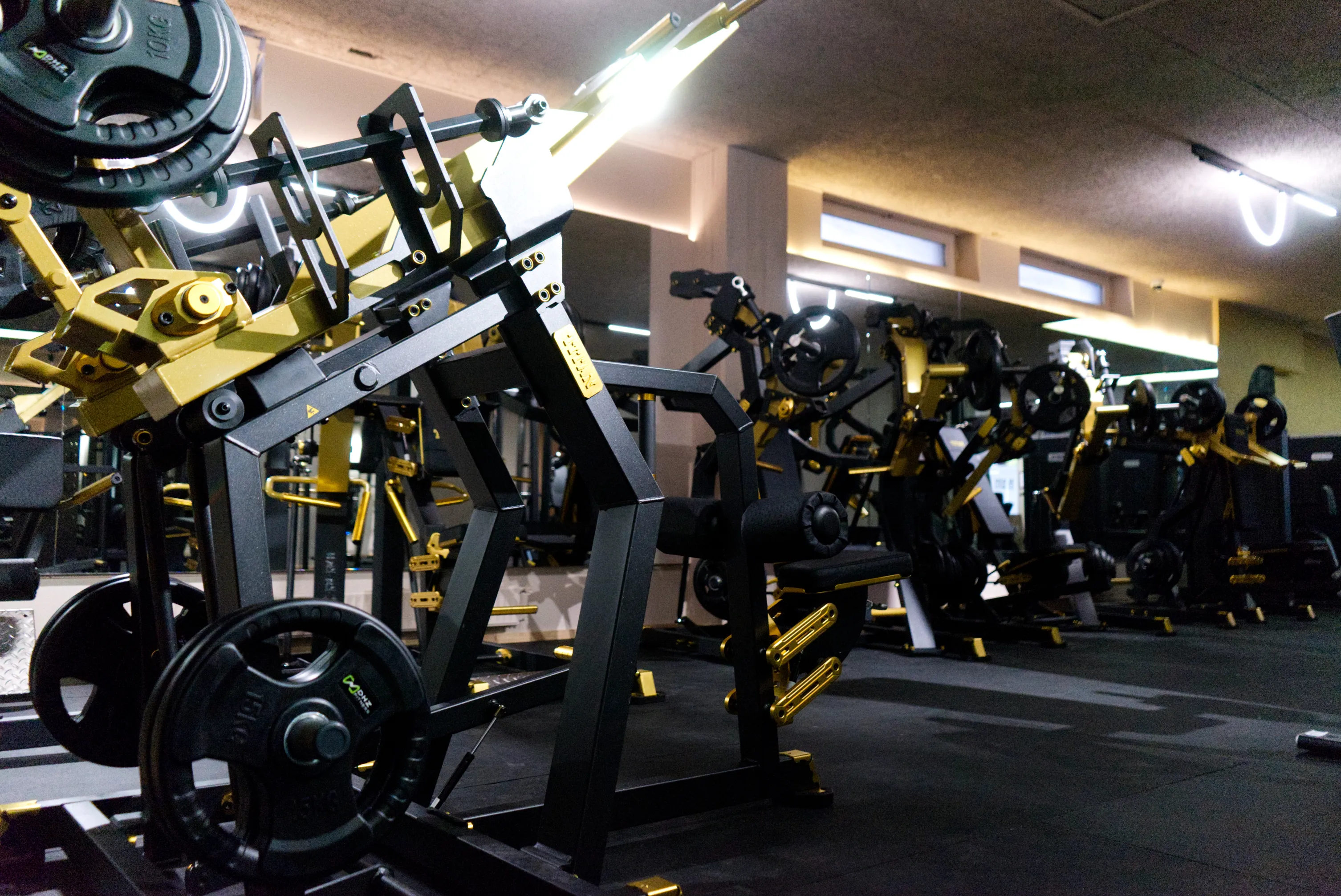 Trainingsfläche mit Kraftgeräten im LOFTS Studio